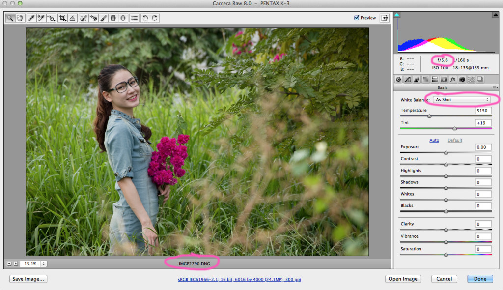 pentax-bow101-acr2